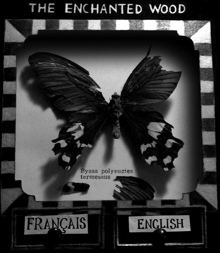 Choisissez votre langue / Choose your language